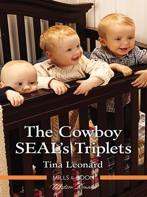 The Cowboy SEAL's Triplets - ebook